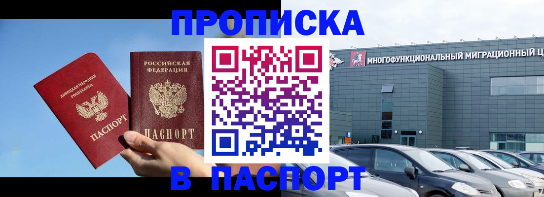 пропишу в квартире в Курской области